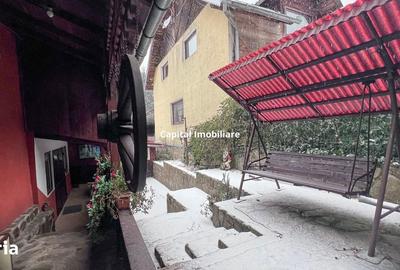Casă cu 8 camere cu Teren 1500 Mp în Văliug