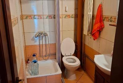 Casa de vanzare Dr Tr Severin - 4
