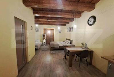 Studio nou renovat, in Centrul Istoric al Bra?ovului ideal afacere Booking - 3