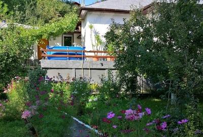 Doriți aer curat liniște vă ofer o casă frumoasă - 8