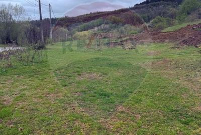 Teren Construcții de 4780 mp, în Vadu Izei - 2