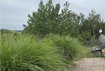 RECO IMOBILIARE TEREN ORADEA - 3