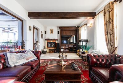 Refugiul Perfect de Lângă Timișoara - 6