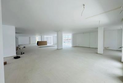 Spațiu comercial, de 290 mp, în Micălaca - 1