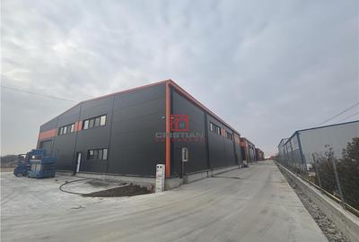 OCAZIE..BLACK FRIDAY... depozit/hala/spatiu industrial Pante - 3