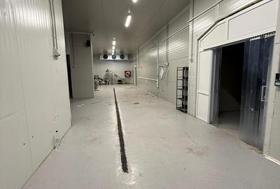 Spațiu industrial, în Dobreni - 10