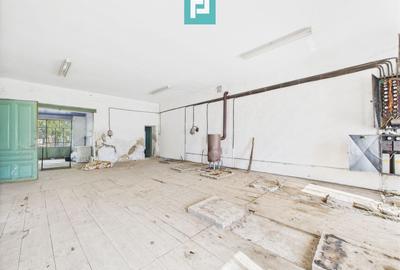 Casă individuală cu 4 camere cu Teren 1510 Mp în Cenad - 8