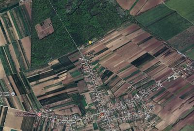 Teren 600 mp lângă pădure, 18 m deschidere, Tantava – Giurgiu - 4