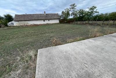 Teren de 3000 mp, în Checea - 2