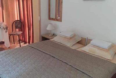 De inchiriat apartament cu o camera in zona Bogdanestilor - 2