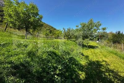 Teren deosebit de vanzare 1800 mp, Cheile Vali?oarei livada de nuci - 5