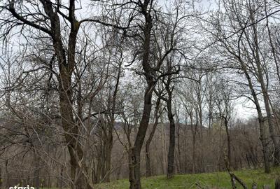 Spațiu comercial, în Șotrile - 4