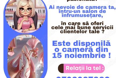 Inchiriez camera in salon de infrumuse?are - 1