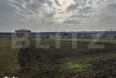 Teren de 1597 mp, în Vințu de Jos - 2