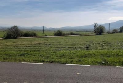 Teren extravilan de 9200 mp, în Băile Miercurea - 4
