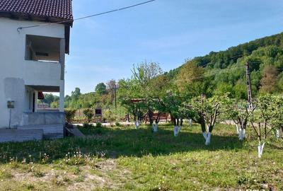 Casă cu 4 camere în Vulcan - 2