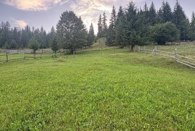 Teren de Vânzare în Bucovina ! OPORTUNITATE - 5