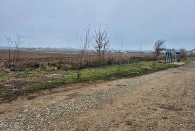 Teren de 10000 mp, în Balotești - 2