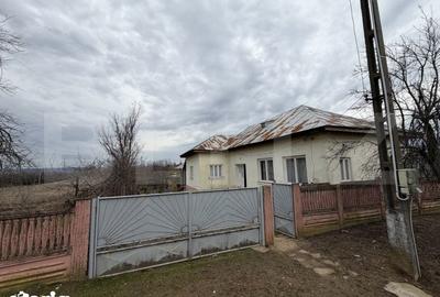 Casă cu 4 camere cu Teren 4505 Mp în Central - 11