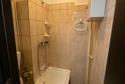 Aparatemnt Tineretului Pet Friendly CENTRALA + PARCARE - 5