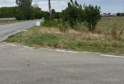 Teren de 10000 mp, în Central - 7