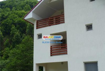 Pensiune de zona Voineasa - jud. Valcea - 5