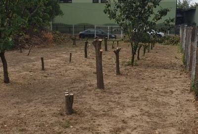 Teren de vânzare Jilava aproape de podul de la Centură, 800 mp, utilitati - 2