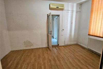 Doua case vecine, cu vad, in Bucure #537;ti, Tineretului, Parcul Carol - 12