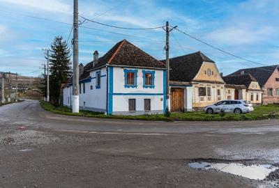 Casa / Vila cu 7 camere de vanzare - 51