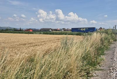 Teren  intre Sanpetru si Harman  la Drumul judetean - 2