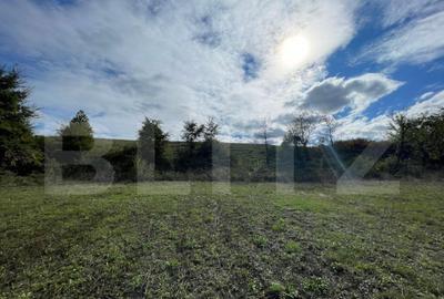 Teren de 5996 mp, în Sânmartin - 6