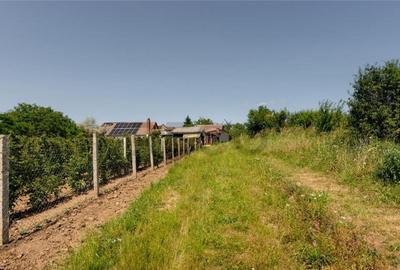 RECO Teren intravilan 1200 mp- front 30ml ,cu utilitati, Pa - 13