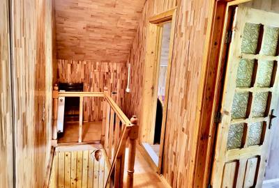 Slanic Moldova - Cabana - Vedere superba - 9