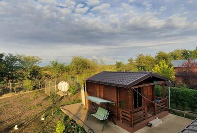 Casă individuală cu 2 camere cu Teren 795 Mp în Buturugeni - 9