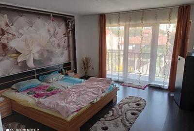 Casa zona Closca str. Muncitorilor Satu Mare - 8