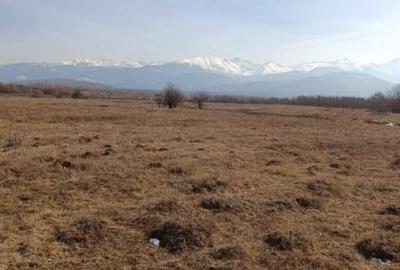 Teren Valea Avrigului  ,Avrig Teren Valea Avrigului  ,Avrig - 1