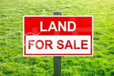 Teren de 5400 mp, în Dobrovăț - 1