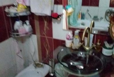 Casa de vinzare in comuna Iecea Mare jud Timid - 7