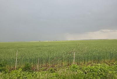 Teren de 4840 mp, în Brănești