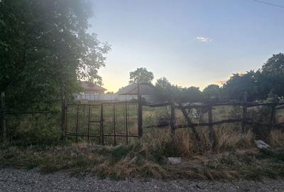 Spațiu comercial, în Păunești - 3