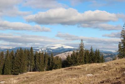 Spațiu comercial, în Panaci - 3