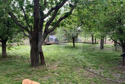 Spațiu comercial, în Paltin