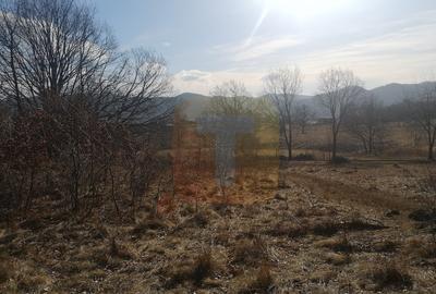 Teren 1800 mp intravilan, zona Gloduri - 17