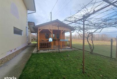 Spațiu comercial, de 330 mp, în Viștea - 6