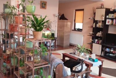 Casa cu 4 camere in Lunca Cetatuii - 2