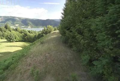 Teren de 16945 mp, în Colibița - 7