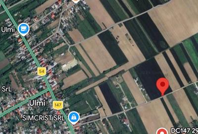 Teren intravilan case 10.000 mp, Str Sportului, Ulmi - 6