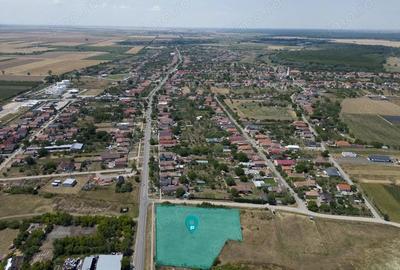 Teren intravilan 6.005 mp in Zadareni - 19