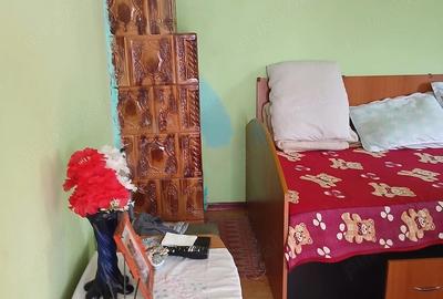 Casă cu 2 camere cu Teren 1200 Mp în Bucinișu - 3