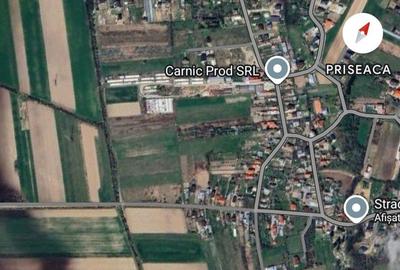 Teren de 4724 mp, în Priseaca - 1